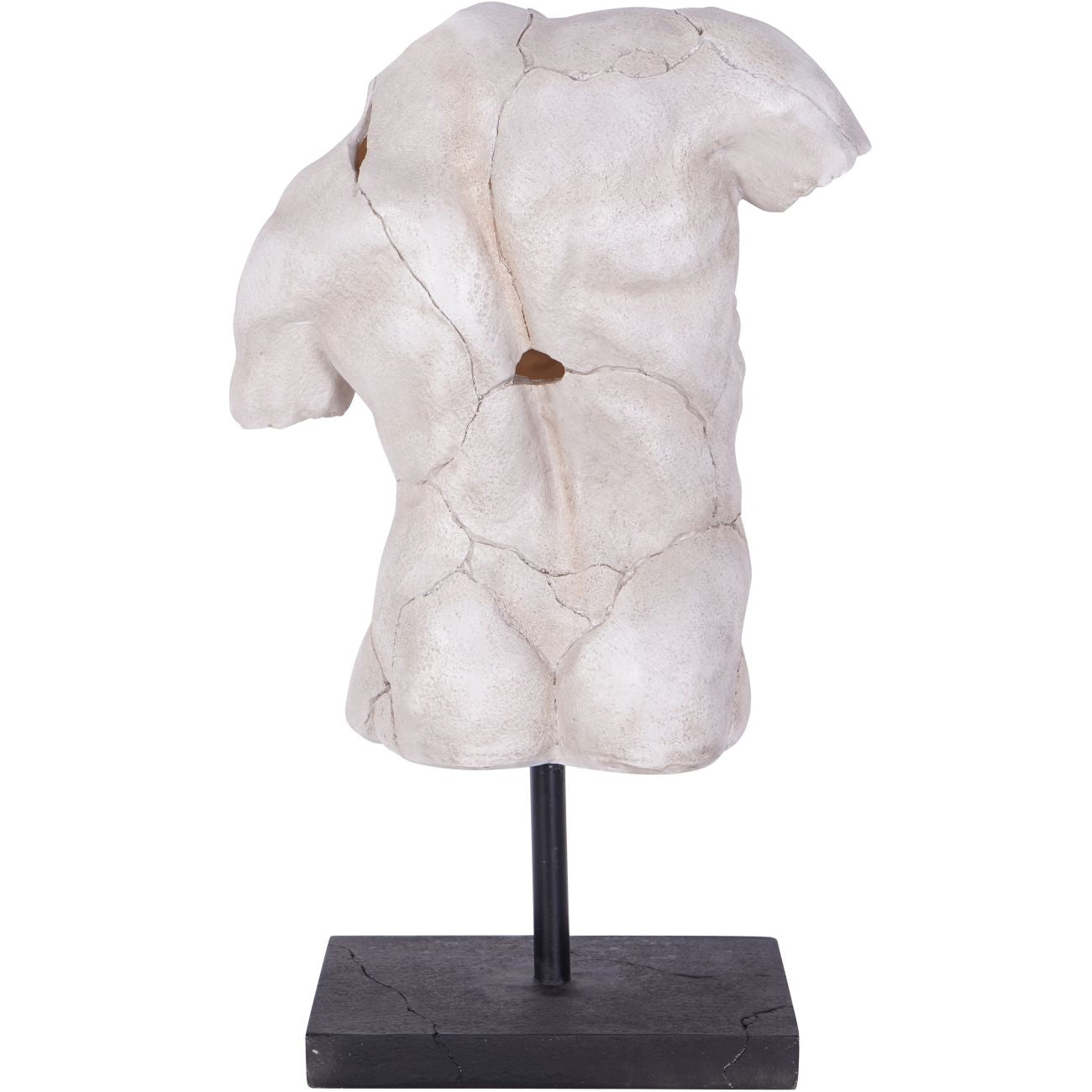 Male Torso on Stand