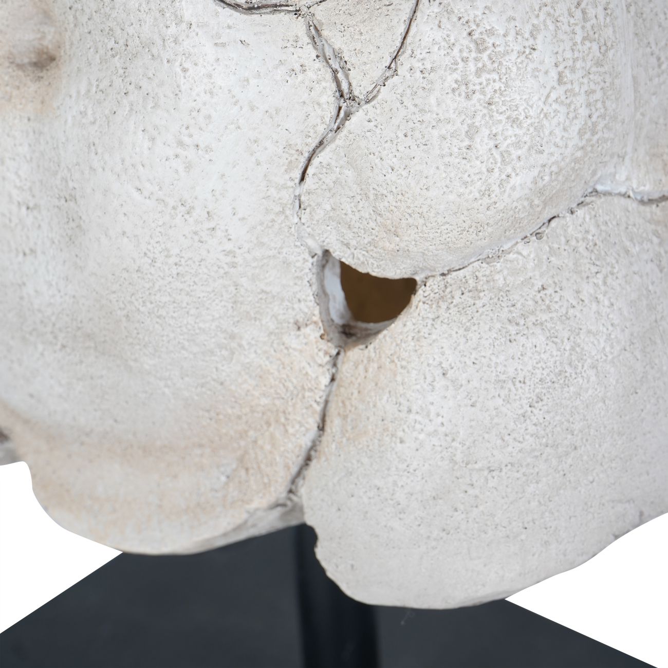Male Torso on Stand