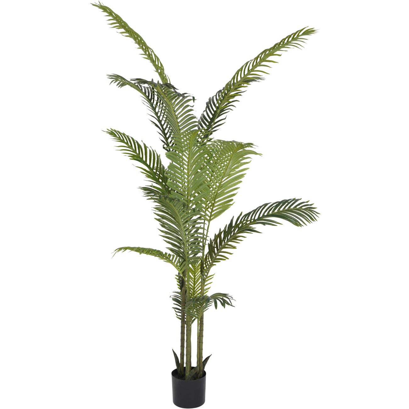 Faux Areca Palm 6ft