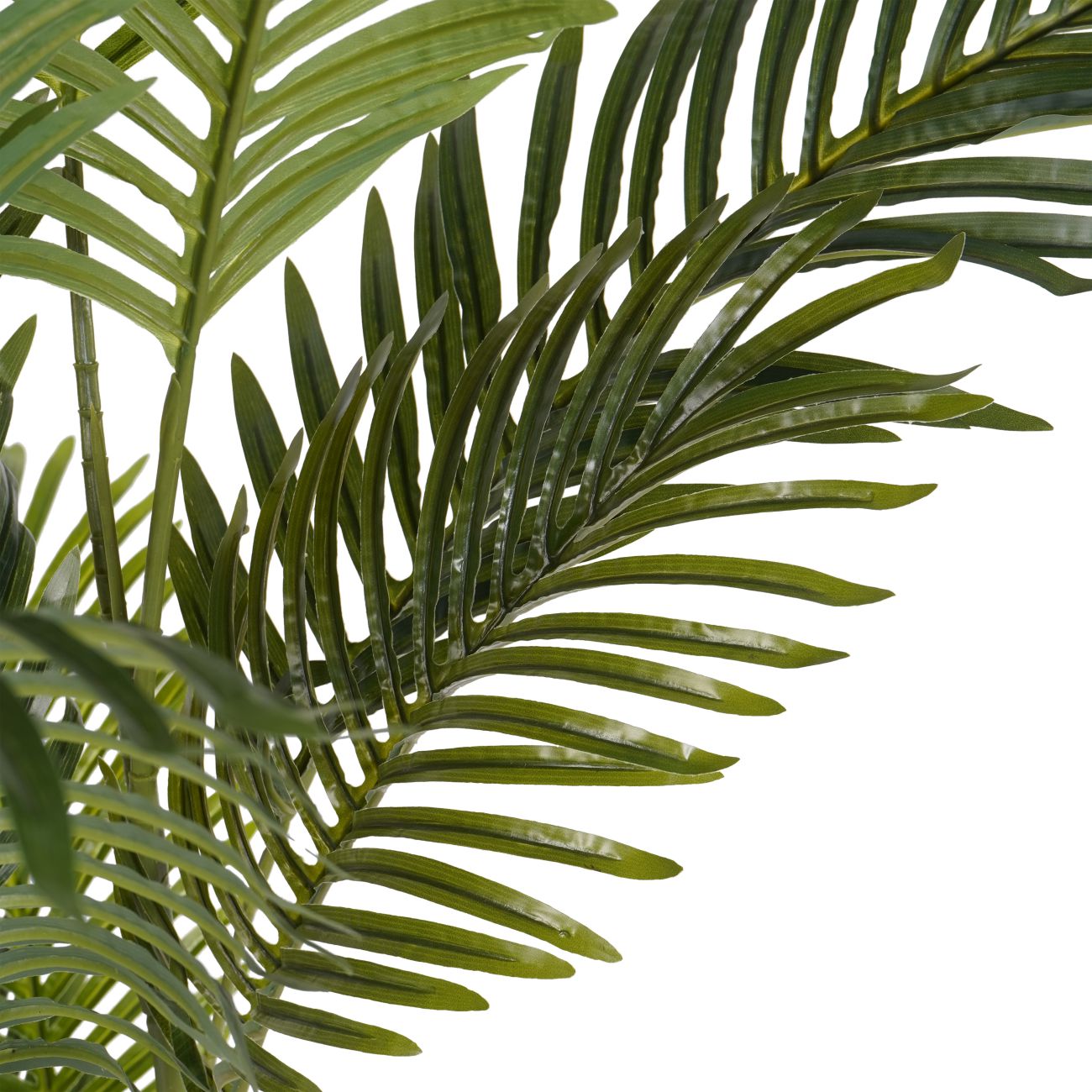 Faux Areca Palm 6ft