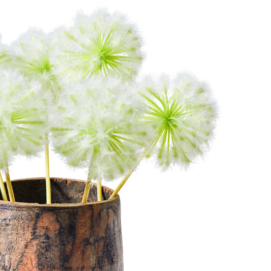 Faux Stem Dandelion Cream