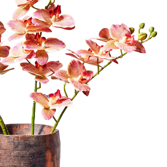 Faux Stem Orchid Pink & Cream