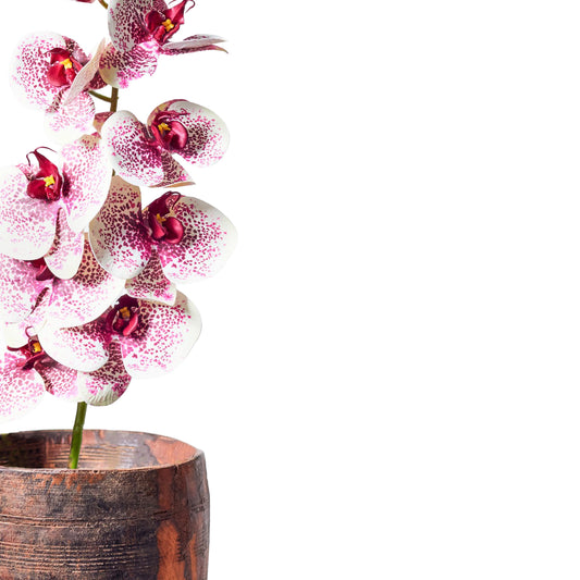 Faux Stem Orchid White and Burgundy