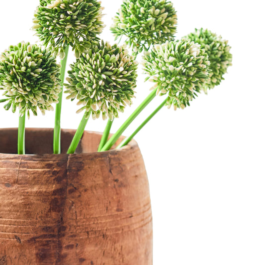 Faux Stem Allium Green & White