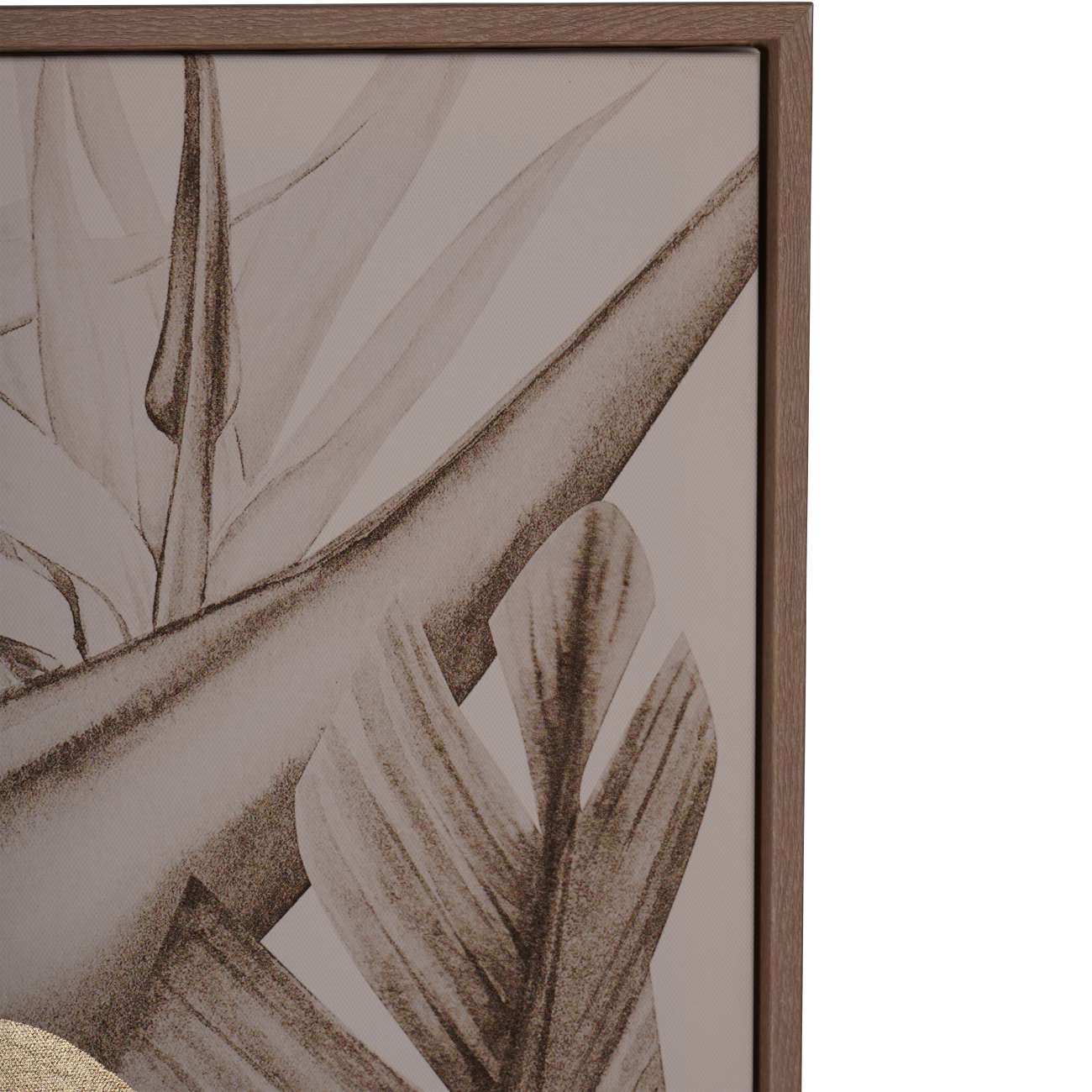 Tropical Birds Set of 3 Framed Canvas Wall Art 210x140cm