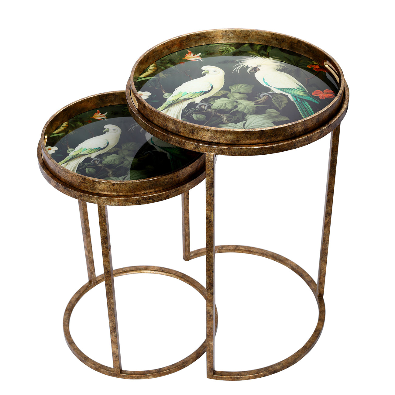 Tropical Birds Set Of 2 Side Tray Tables