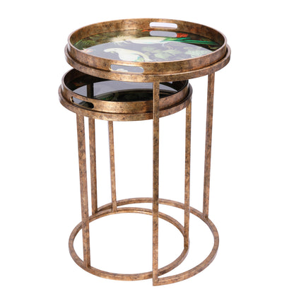 Tropical Birds Set Of 2 Side Tray Tables