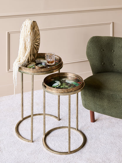Tropical Birds Set Of 2 Side Tray Tables