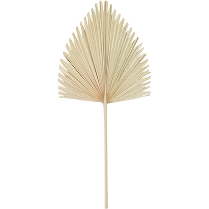 Arrowhead Palm Leaf Natural