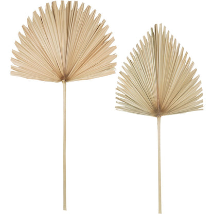 Arrowhead Palm Leaf Natural