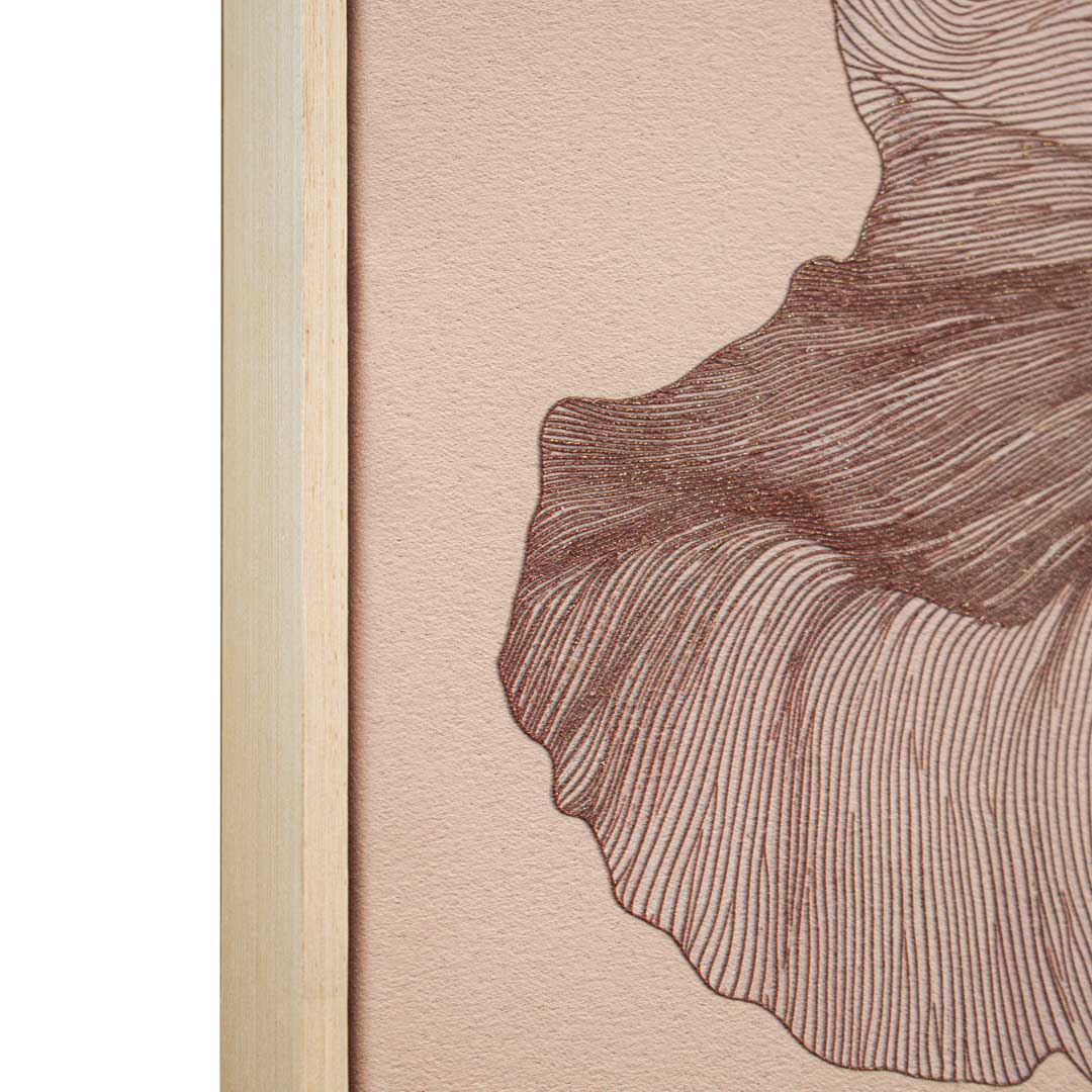 Adler Light Canvas