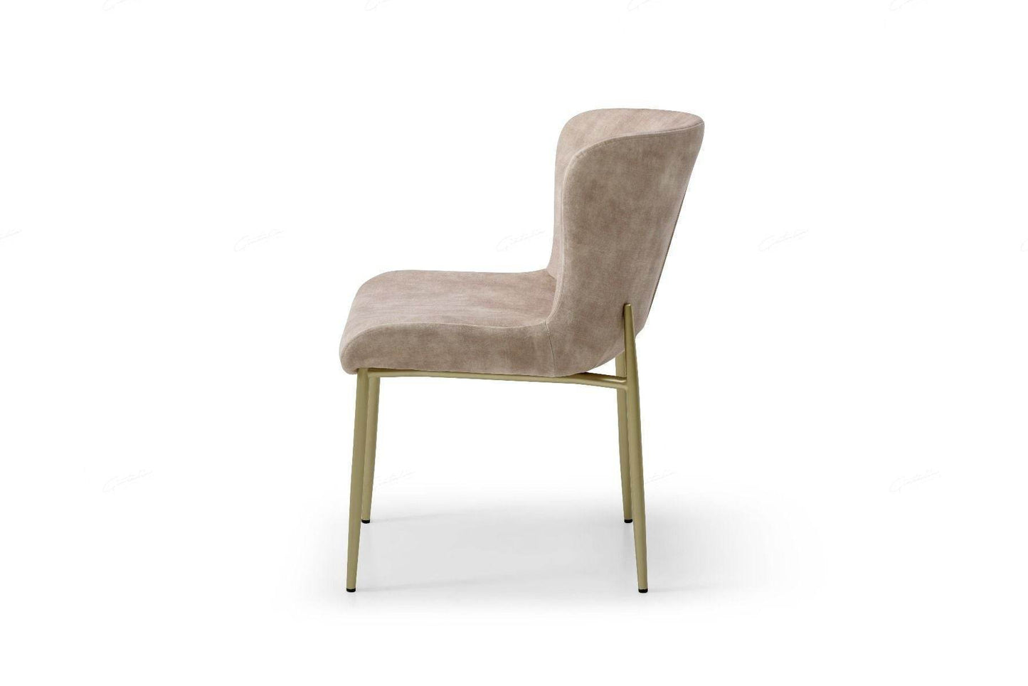 Pietra Champagne Fabric Dining Chair X12 - Pak Tao